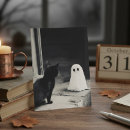 Recherche de hallowen cartes postales Chat