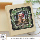 Search for cat picture stickers Merry christmas