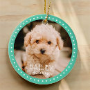 Search for paw ornaments Zpet
