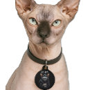 Search for sphynx cat gifts Hairless
