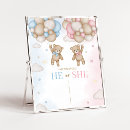 Search for gender reveal signs Teddy bear