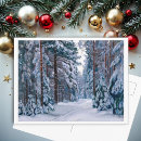 Recherche de arbre à feuillage persistant cartes postales Vintage