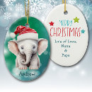 Search for elephant in santa hat ornaments For kids