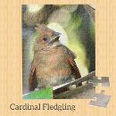 Search for cardinal bird puzzles Birds