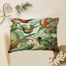 Search for hummingbird pillows Artistic