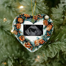 Search for baby on the way ornaments Sonogram