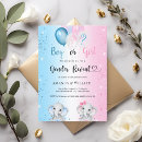 Search for elephant gender reveal Boy or girl