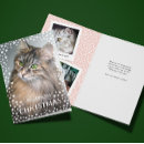 Recherche de motif de chat cartes postales Empreintes de pattes