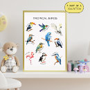 Recherche de oiseaux tropicaux posters Pour eux