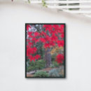 Recherche de érable rouge posters Jardin japonais