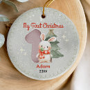 Search for white rabbit ornaments First christmas