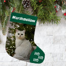 Search for pet christmas stockings Green