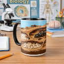 Recherche de fourmilier tasses Fourmilière