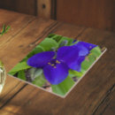 Recherche de rampant maison deco Floral