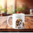 Recherche de chiot de beagle maison deco Pour tous