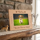 Search for pet picture frames Forever in our hearts