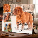 Recherche de collage animaux articles Empreinte de patte