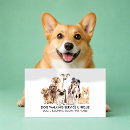 Search for handler business cards Dogs