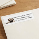 Search for pug dog return address labels Puppy