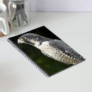Recherche de faucons carnets Animal