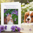 Search for cavalier king charles spaniel birthday cards Photography