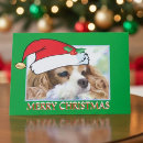Search for cavalier king charles spaniel christmas cards Animal