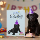 Search for black labrador birthday cards Dog