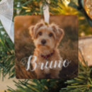 Search for dog name ornaments Cat