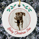Search for puppy ornaments Modern