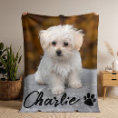 Search for pet photo blankets Modern simple minimalist design