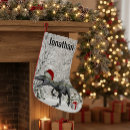 Search for dinosaur christmas stockings Santa