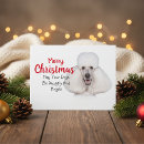Search for standard poodles cards White standard poodle