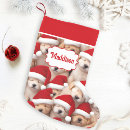 Recherche de animaux mignons bébé de chaussette de noël Nom
