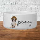 Search for beagle dog bowls Puppy