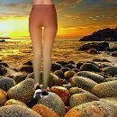 Search for gym leggings Stylish