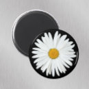 Search for daisies magnets floral