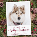 Recherche de malheur vœux cartes Chien