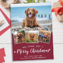 Search for woof christmas cards Modern