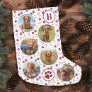 Search for dog paw print christmas stockings Cute