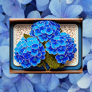 Search for hydrangea postcards Vintage