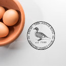 Recherche de famille de canard Pour tous