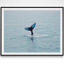Recherche de fluke posters Mer
