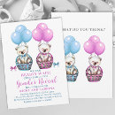 Search for bears gender reveal baby For kids