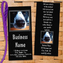 Search for animals rack cards Cute