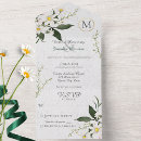 Search for painted daisies invitations For her
