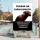 Recherche de sujets posters Chiot
