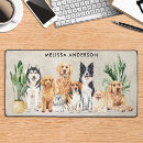 Search for animal care electronics Pet sitter