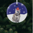 Search for tortoiseshell cat ornaments Pet