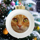 Search for photo ball ornaments Pet