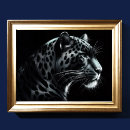 Search for snow leopard posters Artistic